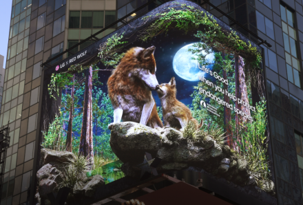 붉은 늑대, 美 타임스스퀘어를 물들이다!