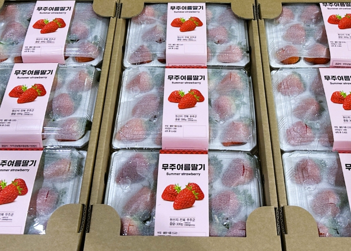 무주군, 첨단 냉방 기술로 여름딸기 재배 한계 극복 수출시장 공략 나서