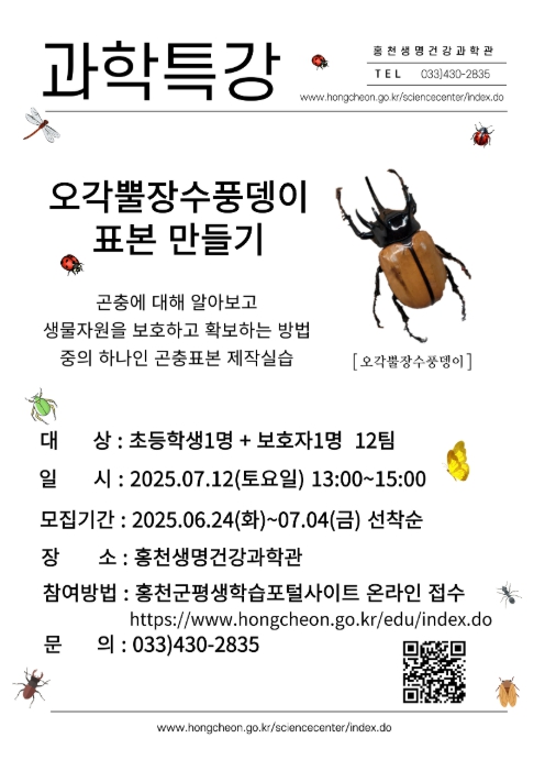 홍천군, 초등학생을 위한 곤충 체험 프로그램   오각뿔장수풍뎅이 표본 만들기 특강 개최