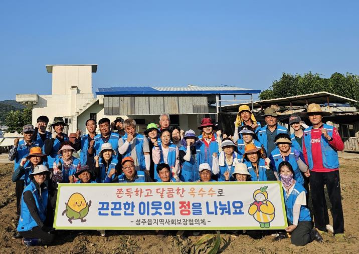 성주군 성주읍지역사회보장협의체, 영농사업 옥수수 수확
