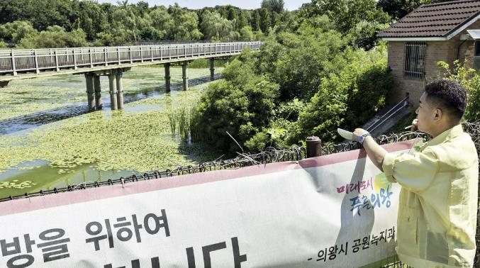 왕송호수 녹조라떼 심각…의왕시의회 한채훈 의원, "의왕시 철저한 수질 관리 펼쳐야"