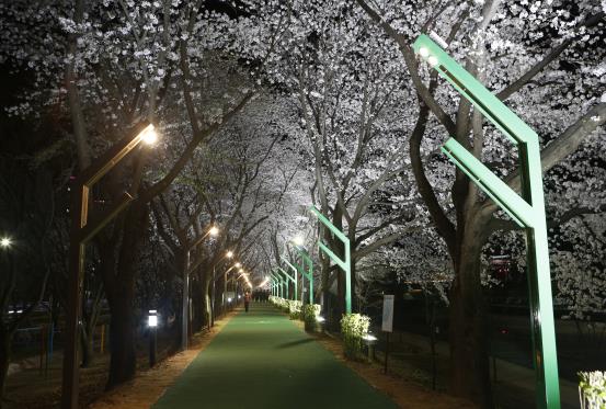상주시, 북천 산책로에 쿨링포그 시스템 가동