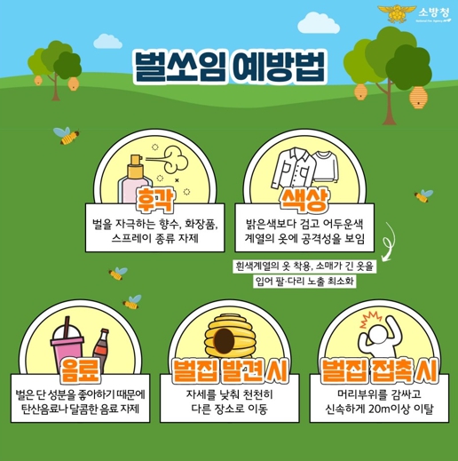 천안서북소방서, 벌 쏘임 사고 주의 당부