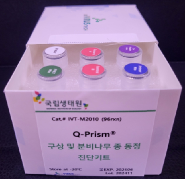 환경부, 생김새 비슷한 구상나무-분비나무 정확히 판별한다