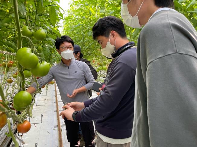 광주광역시, 재배환경 급변 토마토 전문교육
