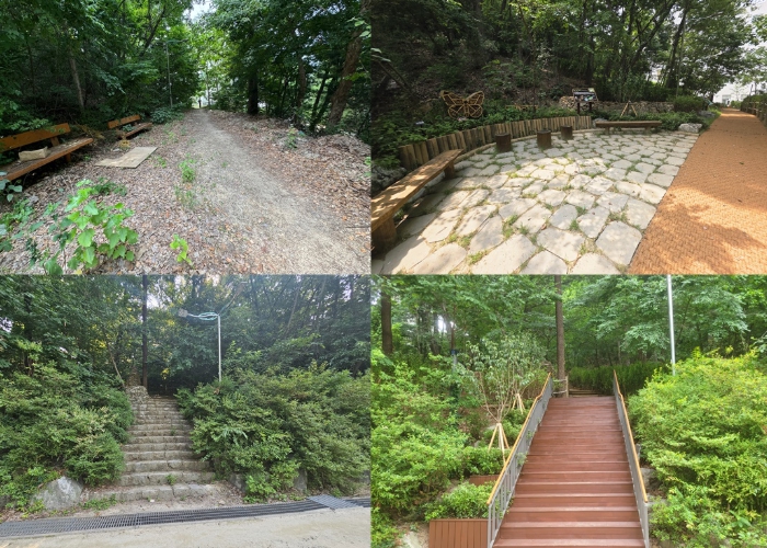수리산 골안공원, 생태공원으로 탈바꿈…“청개구리와 함께 살아요”