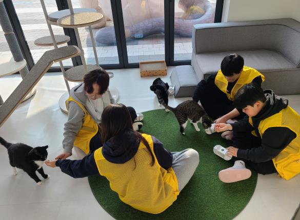 유기동물과 교감하며 배우는 생명존중…경기도, 청소년 여름방학 봉사 프로그램 마련