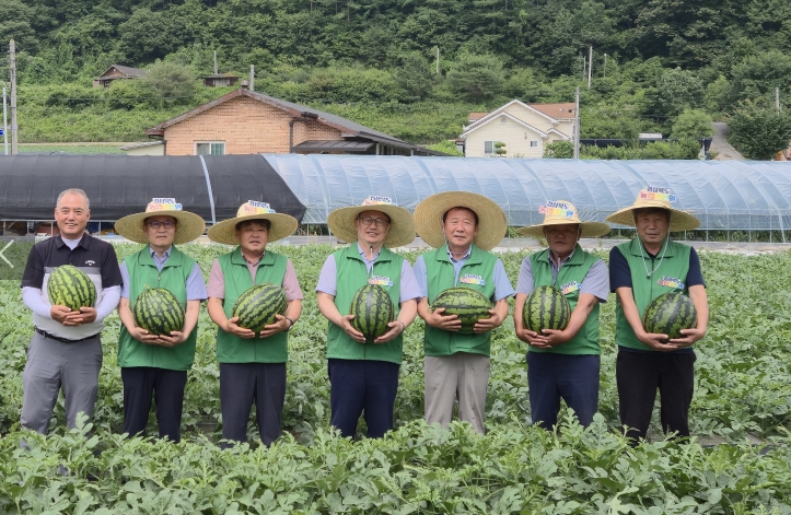 경북도, 수박-토마토 이모작으로 농가당 4~10억원 거뜬... 농업대전환 혁신모델로 뜬다