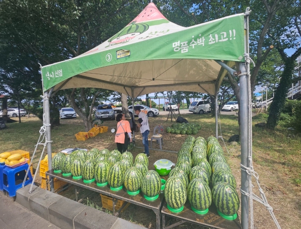 신엄 수박, 직거래 장터에서 저렴하게 만나요