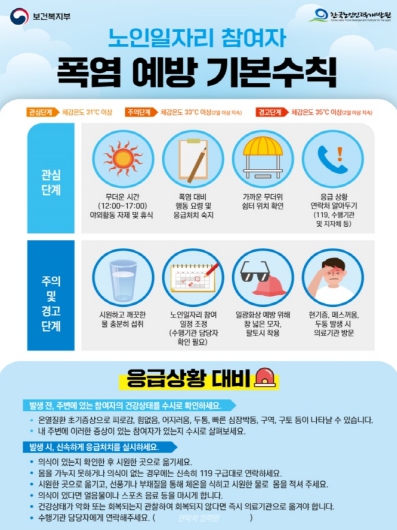 전주시, 노인 일자리 안전사고 예방을 위한 종합 안전망 구축