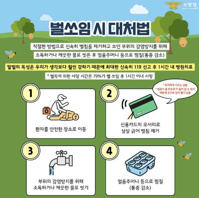 서산소방서, 벌쏘임 사고 주의 당부