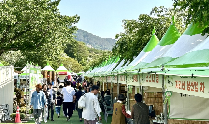 하동야생차문화축제, 국내 여행지 평가에서 전국 6위 선정..상위 5%