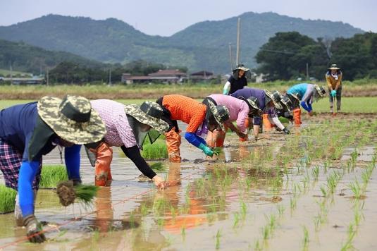 정읍시, 로컬푸드 직매장 납품 농가에 수수료 지원…유통 부담↓ 소득 안정↑