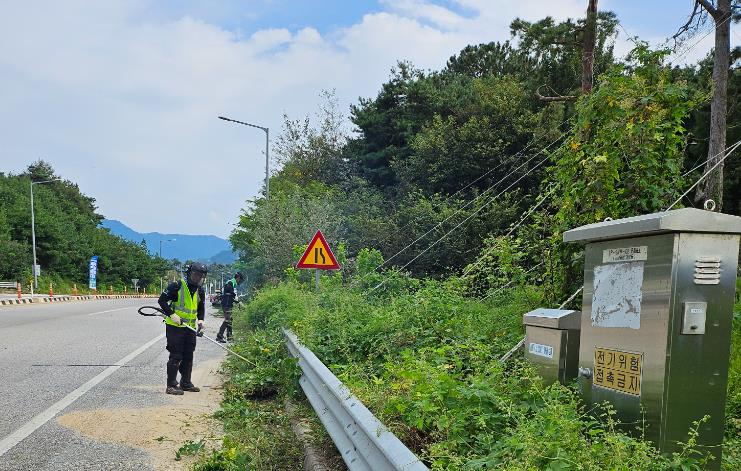 남원시, 잡목과의‘안전 총력전’ 쾌적한 도로환경‘사수’