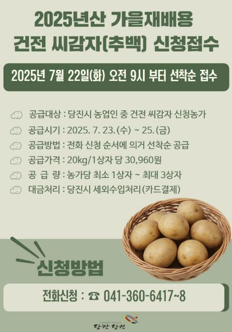 당진시, 가을 재배용 추백 씨감자 2톤 신청 접수 시작