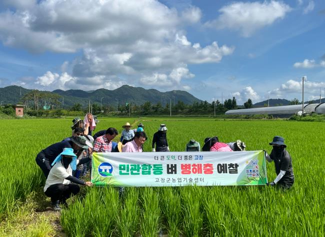 고창군, 민관합동 벼 병해충 예찰
