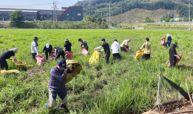 충남연구원, 공주·홍성서 수해 복구 봉사활동