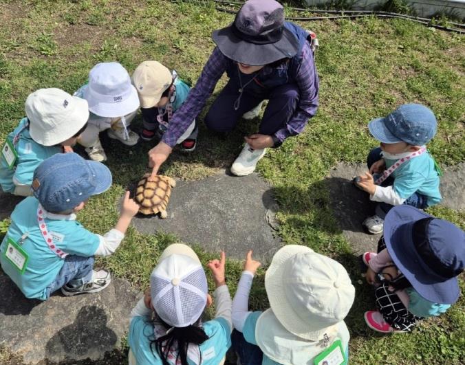 성북구, '2025년 하반기 유아 숲 학교' 참여기관 모집