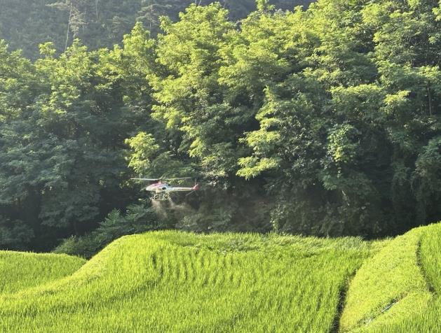 진천군, 벼 생육 중기 병해충 약제 공급과 공동 방제 실시