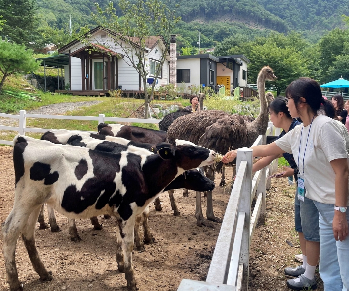 충북농기원, 늘봄학교 핵심인력 대상 워크숍 운영