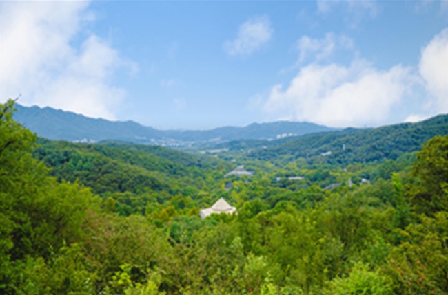 시원한 숲에서 힐링하세요! 서울대공원 산림여가 프로그램 풍성 