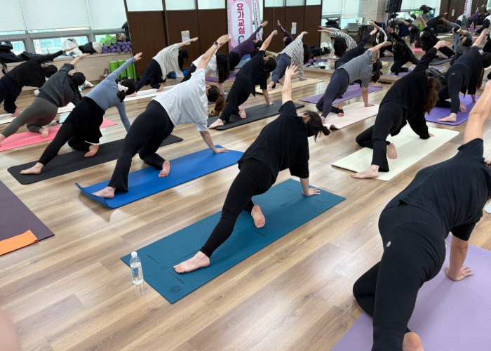 고양시 일산동구보건소, 2025년도 하반기 임신부 요가교실 운영