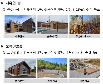 강원특별자치도 폭염없이 시원! 매봉산 천상의 숲 야영 만족도 최상