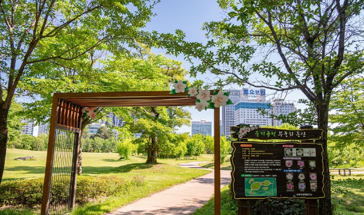 무궁화 만개한 8월, 대전의‘나라꽃 명소’로 떠나 보세요 