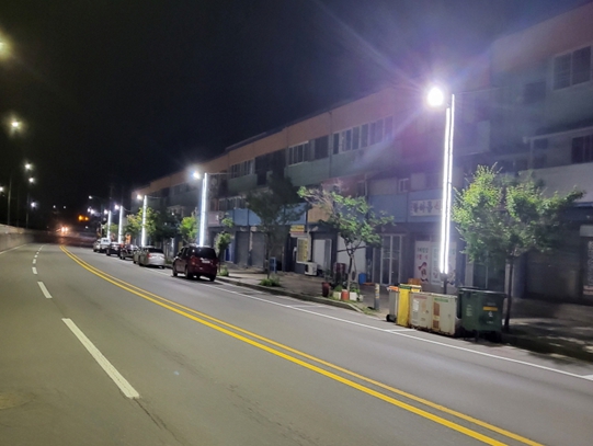 태백시, 자작나무 형상 LED 경관조명 설치