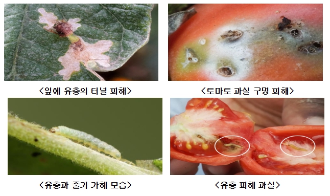 이승돈 농촌진흥청장, 첫 행보는 ‘농작물 병해충 방제’ 현장