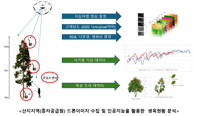 산림청, AI와 드론 활용한 산림종자 예측 연구, 본격 추진한다!