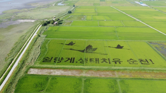 쉴랑게, 생태치유 순천! 벼로 그린 치유 메세지