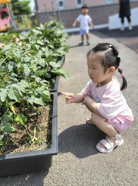 보령시, 어린이 대상 '2025년 시민참여 을지연습' 실시