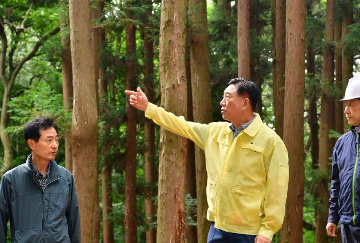 장성군, 국비 포함 130억 확보… 황룡면에 산림복합문화센터 건립
