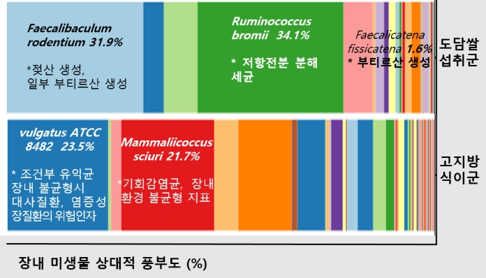 농촌진흥청, 열 가공 '도담쌀', 혈당 조절·장 건강 개선 효과 입증