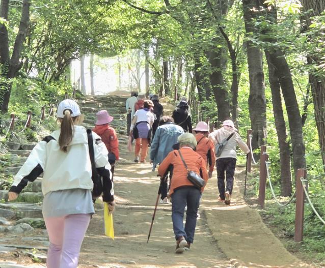 화성특례시, '동부 건강 걷기 동아리' 운영 재개