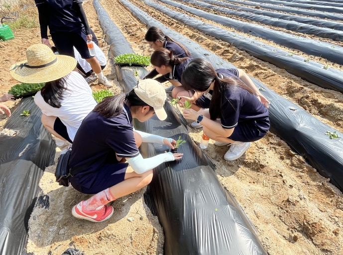 진천군 4-H 연합회, 공동과제포 체험교육 실시