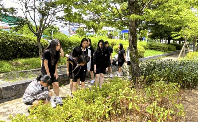학생이 직접 가꾸는 상주여자중학교 학교숲, 관리도 교육도 '우수'