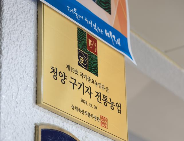 청양군, 국가중요농업유산 ‘청양구기자 전통농업’ 종합계획 본격화