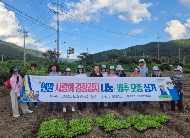 광양시 봉강면, ‘연말 사랑의 김장김치 나눔’ 위한 배추 모종 심기 실시