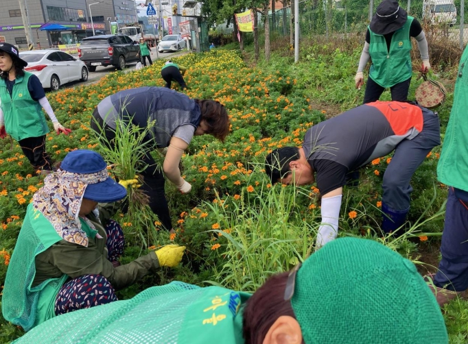 이천시 백사면, 꽃길 가꾸기 및 국토 대청소 실시