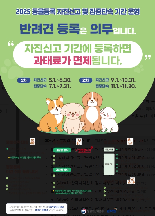김해시, 반려견 등록 자진신고 기간 운영