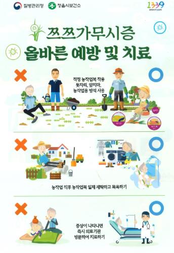 “야외활동 전 긴팔·긴바지 필수” 정읍시, 진드기 감염병 예방 총력