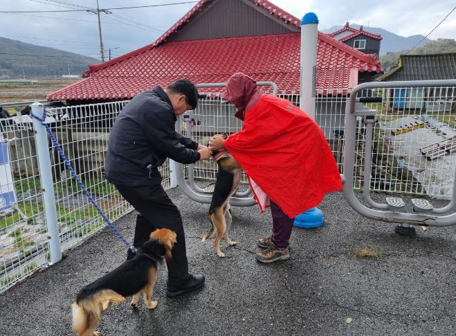 강화군, 반려견 광견병 예방접종 무료 실시
