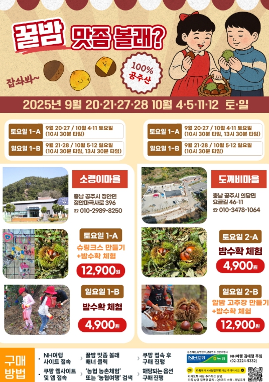 공주시, 농협네트웍스와 함께하는 공주 밤 줍기 체험 프로그램 운영