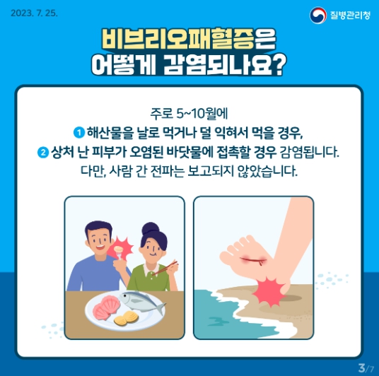 전남도, 어패류 익혀먹기 등 비브리오패혈증 주의 당부