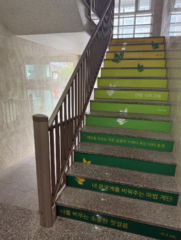 함평군, 생활 속 운동 실천 위한 ‘건강계단’ 조성
