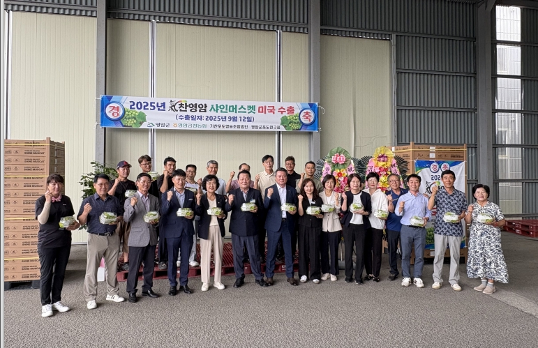영암 샤인머스켓, 6.5톤 미국 첫 수출
