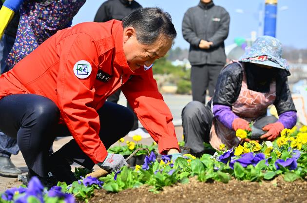 속초시, 봄꽃 38만 본 식재 본격 착수