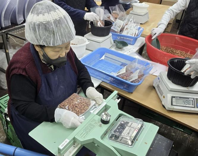 태안 땅콩, '명품 볶음땅콩' 변신으로 지역 마트 유통 개시